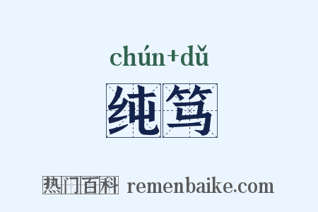 纯笃是什么意思的图片